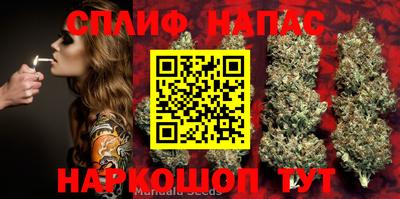 дурь Кингисепп