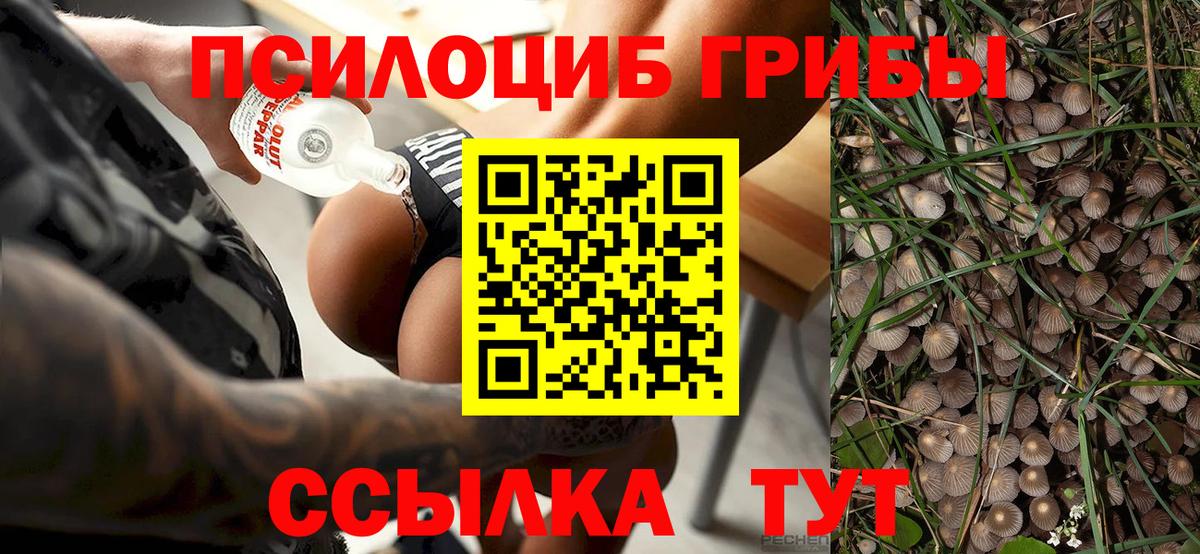 Галлюциногенные грибы мицелий  Вход с VPN  Кувандык 
